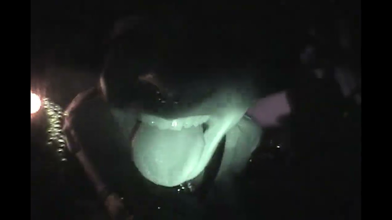 cellardoor - One William Dollars [live]