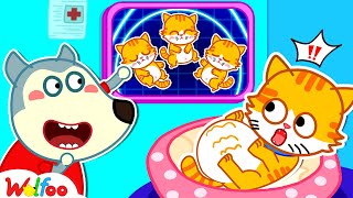 Wolfoo Found a Pregnant Cat! How to Take Care of Your Pet  Wolfoo Kids Stories | Wolfoo Family