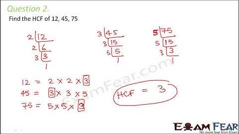 Maths Playing With Numbers part 31 Questions   HCF CBSE Class 6 Mathematics VI   YouTube 360p