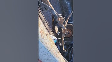 Rear axle for junkyard rescue use Chrysler 7 1/4 from Monday