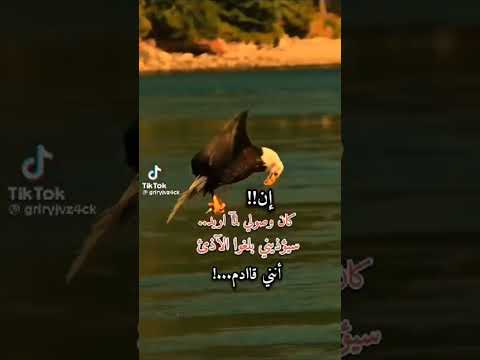 إن كان وصولي لما أريد سيؤذيني بلغوا الأذى أنني قادم