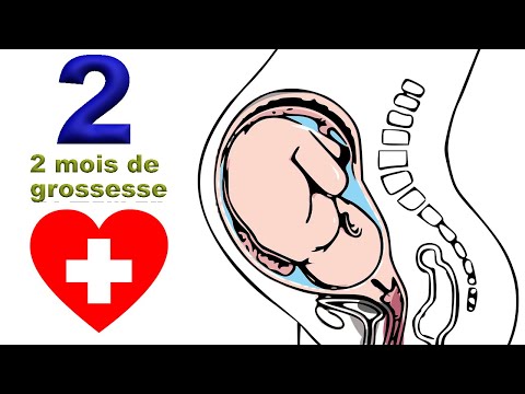 Vidéo: Deux mois de grossesse - tout ce qu'il faut savoir