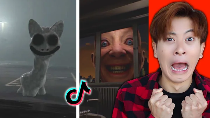 THE SCARIEST VIDEOS ON TIKTOK