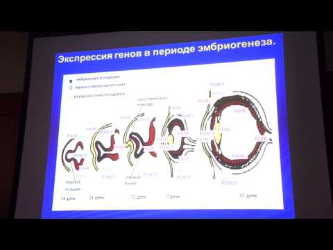 Хлебникова О.В. Клинико-генетические особенности наследственных форм глауком