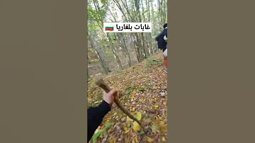مشي على الأقدام في غابات بلغاريا للوصول إلى أوروبا 