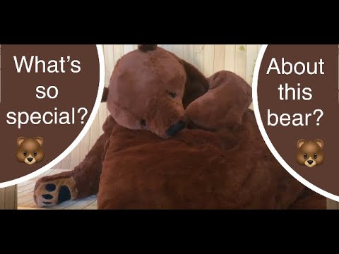 IKEA Djungelskog Bear - What's so special about this bear? 