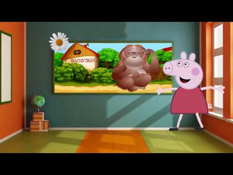 პეპა პიგ სახალისო გაკვეთილები