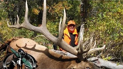 401" GIANT Bull Elk Hunt - Gus Arvelo - MossBack