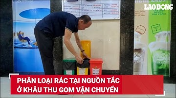 Phân loại rác tại nguồn tắc ở khâu thu gom, người dân băn khoăn về hiệu quả | Báo Lao Động