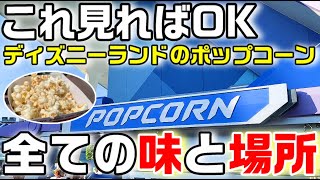 【全制覇】ディズニーランドのポップコーン すべての味と場所を一挙ご紹介！（これ見ればOK）