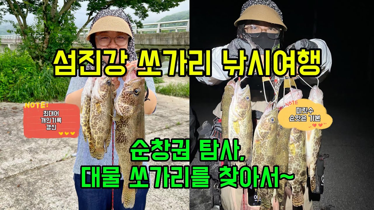 섬진강 쏘가리 낚시여행 | 순창권 탐사, 대물 쏘가리를 찾아서~ #쏘가리낚시 #섬진강쏘가리 #순창쏘가리 #쏘가리포인트 #베이트피네스