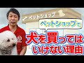 ペットショップで犬を買ってはいけない理由