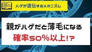 親が薄毛だとハゲは遺伝するのか！？メカニズムから徹底解説