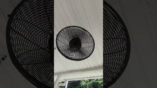 Harbor Breeze Valdosta 20-in Black Indoor/Outdoor Cage Ceiling Fan and Remote #lowes #diy #outdoors