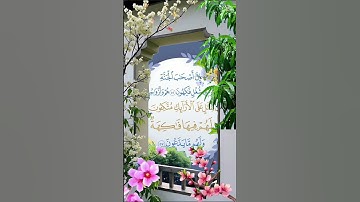🎙️ ﴿إِنَّ أَصْحَابَ الْجَنَّةِ الْيَوْمَ فِي شُغُلٍ فَاكِهُونَ﴾ – تلاوة خاشعة من سورة يس 🌿