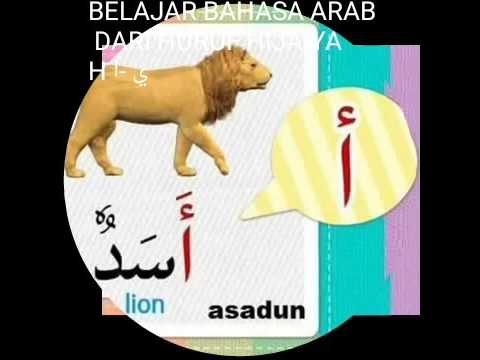 Singa Dalam Bahasa Arab / Fakta Singa Gunung Yang Dapat Melompat