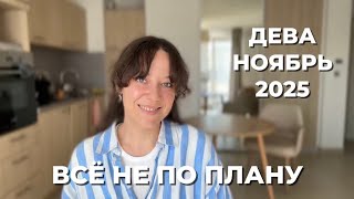 видео: ДЕВА ♍️ НАЙДИ ПОРЯДОК И СИЛУ В ХАОСЕ В НОЯБРЕ 2025 🔥 картинка: ДЕВА ♍️ НАЙДИ ПОРЯДОК И СИЛУ В ХАОСЕ В НОЯБРЕ 2025 🔥