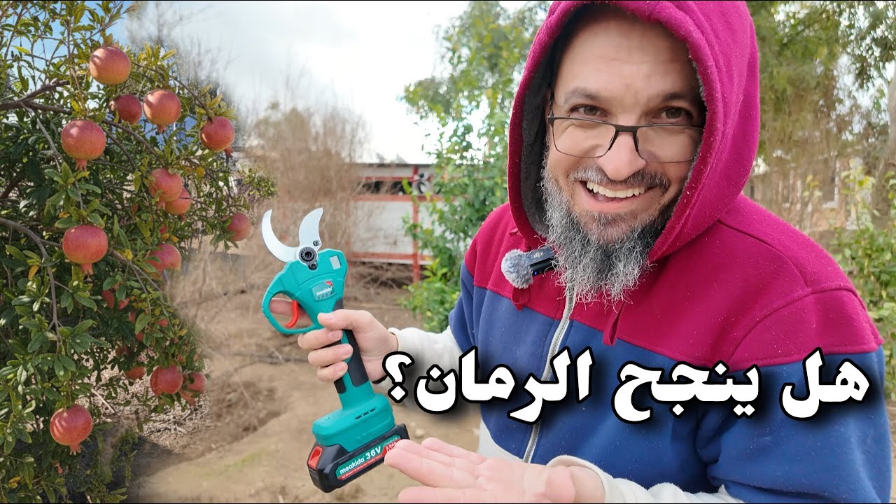 كيفية التخلص من الرطوبة في قاعة الحيوانات؟ الطريقة الصحيحة لتقليم أشجار الرمان لزيادة الإنتاج (275)
