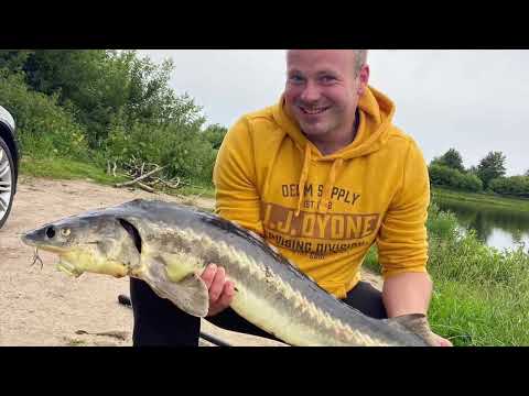 Ihmsen - Der Forellensee Rosenweiher Der beste Fisch für die besten Angler! Ihmsen - Der Forellensee Rosenweiher Der beste Fisch für die besten Angler!