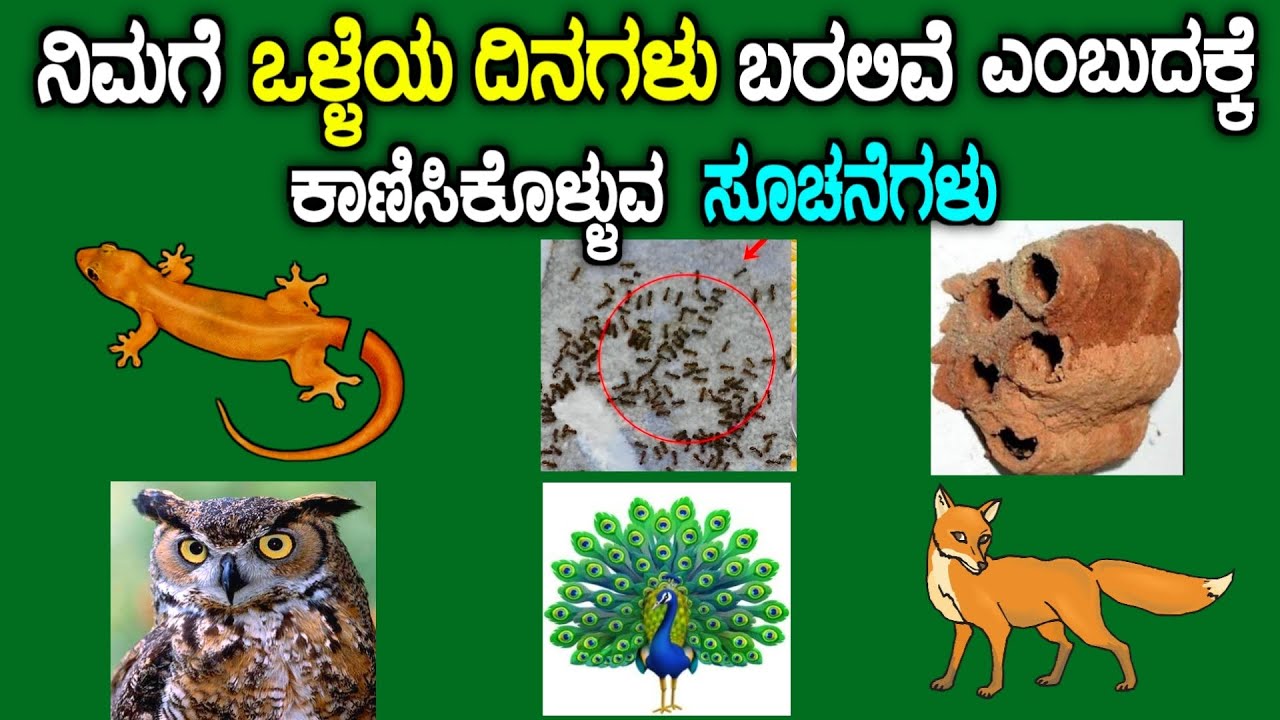 ದುಡ್ಡು ಬರುವ ಮುನ್ಸೂಚನೆಗಳು | signs to become rich in kannada | story fellow.