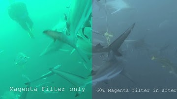 Adobe After Effects Underwater.