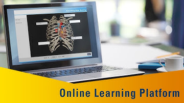 Direct Entry MSN Online Nursing Courses