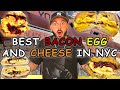 THE ULTIMATE NYC BACON EGG & CHEESE CRAWL