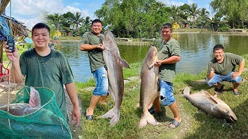 1 tiếng bắt 2 con bò hàng 3x ( 30kg ,34kg45 ) - Hồ câu Hoàng Hải Nhà Bè