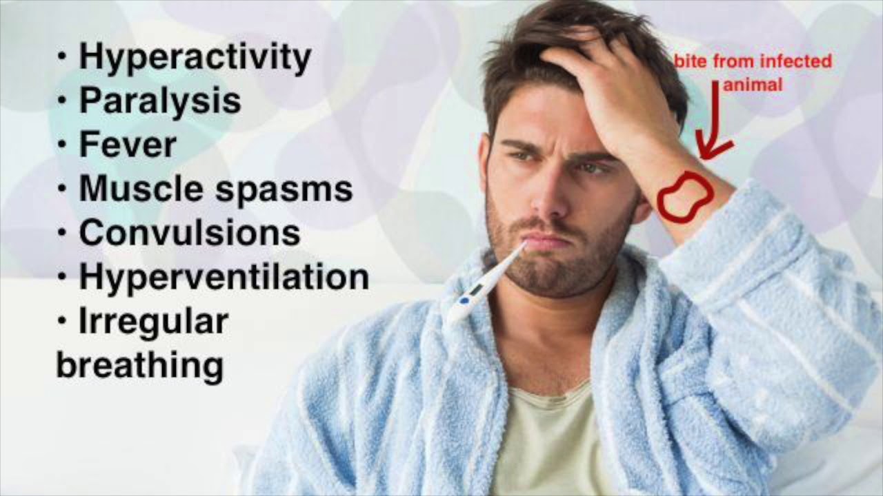 Rabies Vaccine: The Treat-ment That Could Pet-tentially Save Your Furry