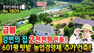 (급매) 사정상 2천만원 인하!! 강변 전망의 전원주택 매매 급매물 601평의 텃밭 농업경영체 등록 및 추가 건축 가능 고급 브랜드 올리모델링 힐링가득 정선부동산 - 발품부동산TV by 발품부동산TV - 전원주택 펜션 카페 전문 31,903 views 3 weeks ago 25 minutes