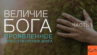 Величие Бога, проявленное при сотворении мира (часть 5) | Андрей Вовк | Слово Истины