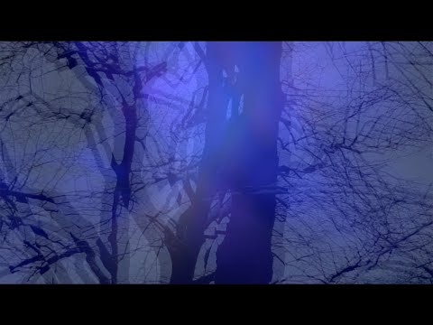 Brigitte Handley — After Dark  - Brigitte Handley