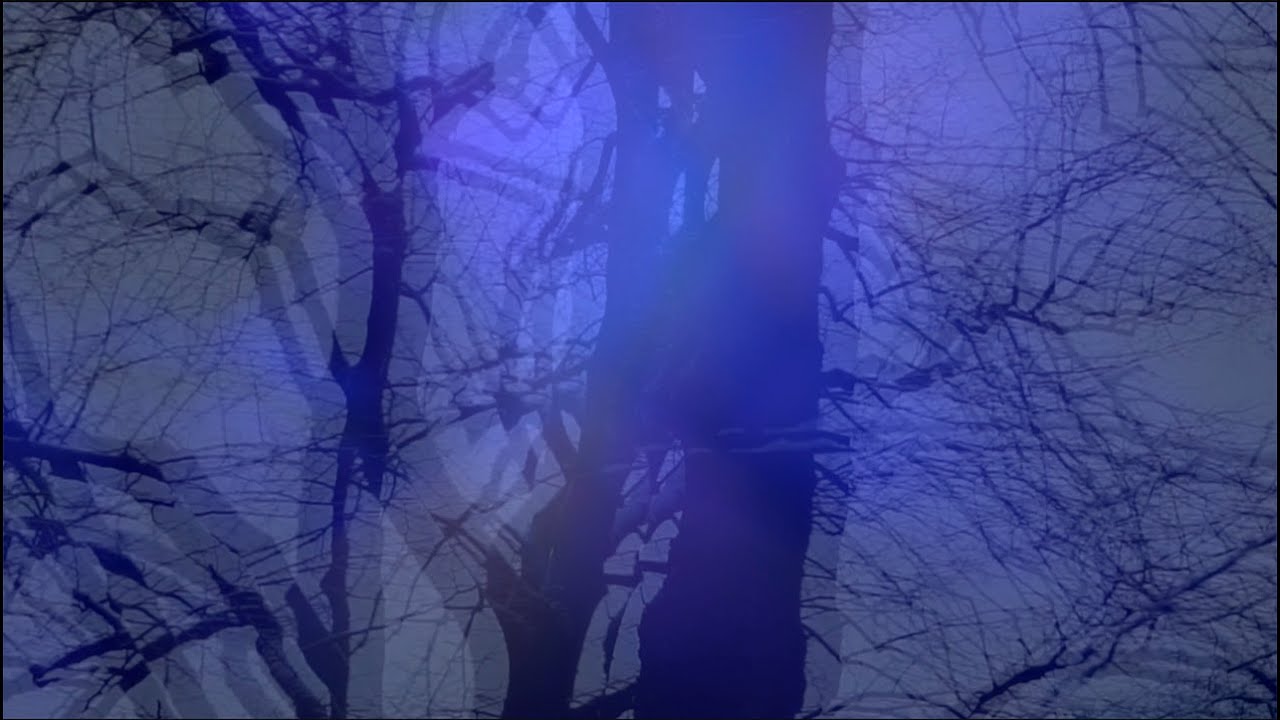 After Dark  - Brigitte Handley