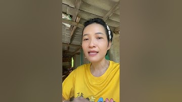 Mua đũa buông là không băn khoăn – Đũa đẹp, bền, dùng càng lâu càng thích!