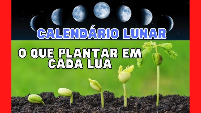 Calendário lunar de Novembro 2023: 5 sites para ver as fases da