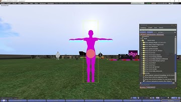 nPose for Second Life animesh setup 1