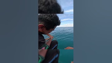 Thanh niên không chịu nổi con cá mập5p,vậy mới thấy người Việt mình khoẻ #lkhoa #fishing #cancauca