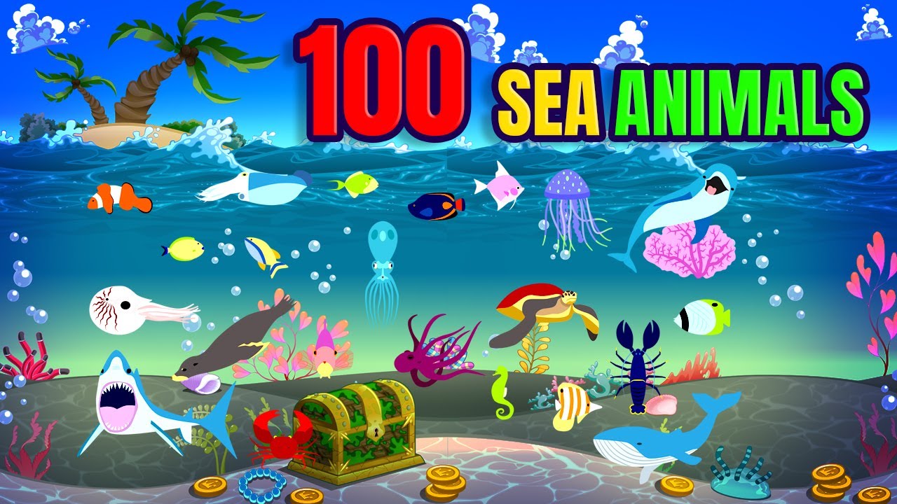 100 Sea Animals for Kids | Learn Ocean Animal Names with Fun Facts ...
