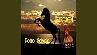 Video thumbnail of "Israel - Potro Salvaje"