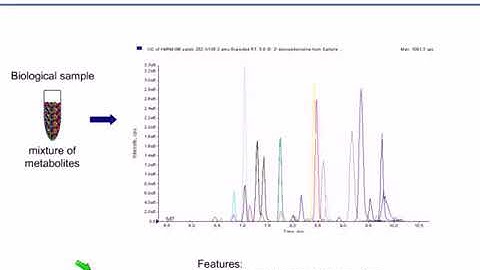 10-5 LC MS based Metabolomics Workflows, Strategies and Challenges