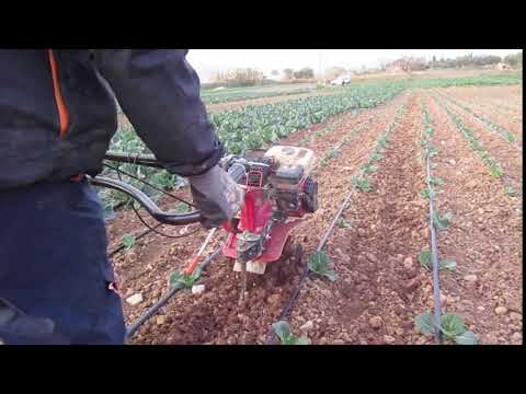 Vídeo: Quanta neu es pot llaurar amb un ATV?