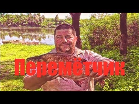 Рыбалка на перемёт ! Обучающий видео курс
