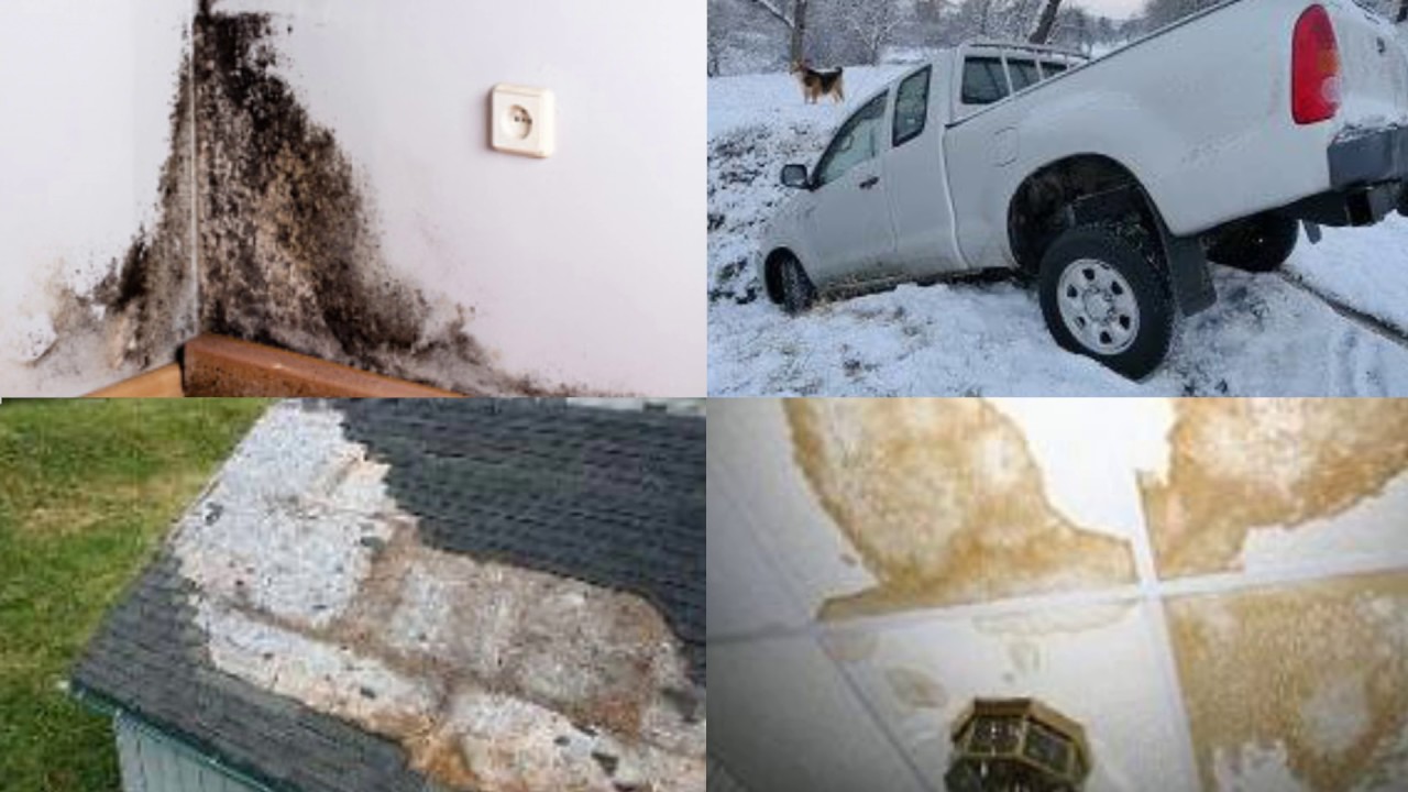 How to Find Insurance Adjusters in Miami | United Claims Specialist