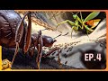 Je lance des armes de fourmis sur toute la map  empires of the undergrowth  ep4