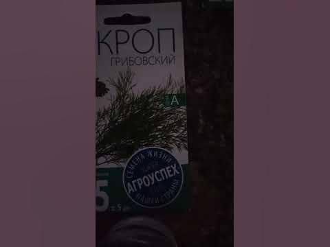 Укроп Грибовский - YouTube