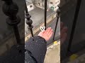 أناشيد دينية سبع طوال أنزلت من ربنا ورتلت أولهن البقرة طاردة للسحرة أناشيد دينية سبع طوال أنزلت من ربنا ورتلت أولهن البقرة طاردة للسحرة