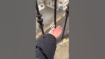 أناشيد دينية سبع طوال أنزلت من ربنا ورتلت أولهن البقرة طاردة للسحرة 