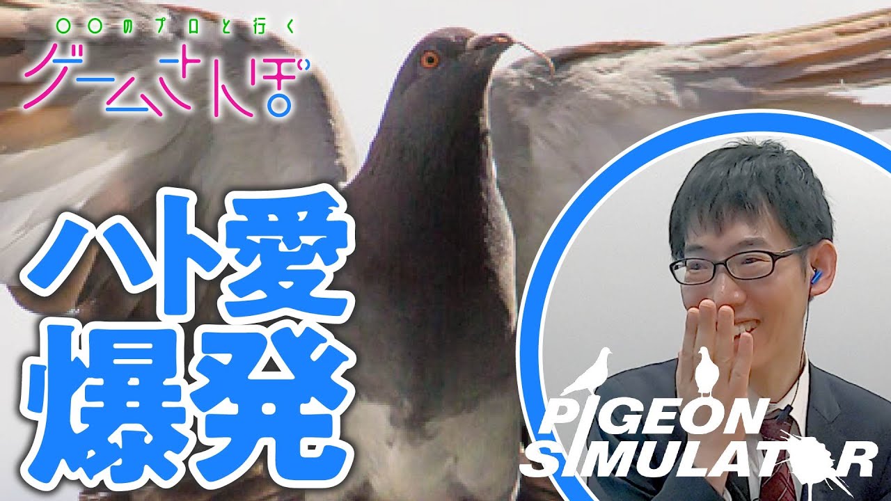 【ゲームさんぽ/ハトの喜怒哀楽】動物を理解すると人間が分かる『ピジョンシミュレーター』 #02