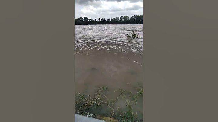 Hochwasser Köln Rhein höchststand #trend #nature #viral #hochwasser