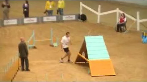 Agility WM 2010 Robin Pfau + Harriet - Agility